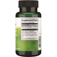 Swanson Papaya Enzyme Papain